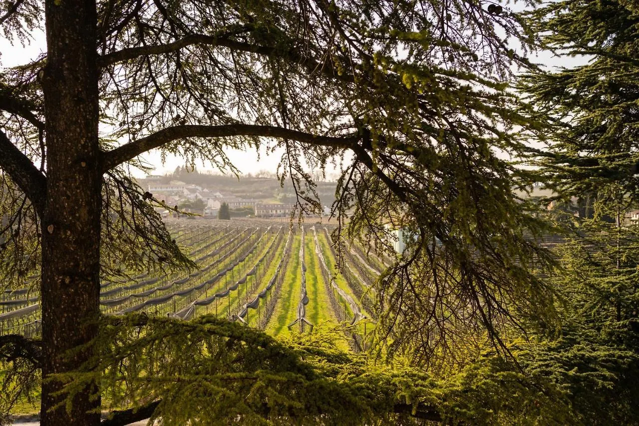 Relais Des Roches Bed & Breakfast Sona Italy